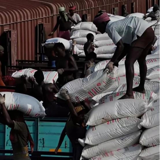 朝鲜兵出援俄，不是讲义气，而是有预谋的。一万个兵，一个月拿走三千万美金，全归平壤