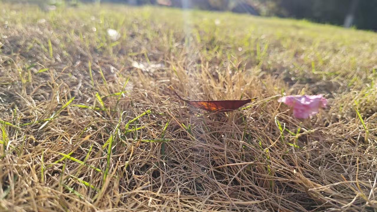 一位干了15年的汽修店经理，私下跟我说了个大实话：“20万以下的车，闭着眼划掉车