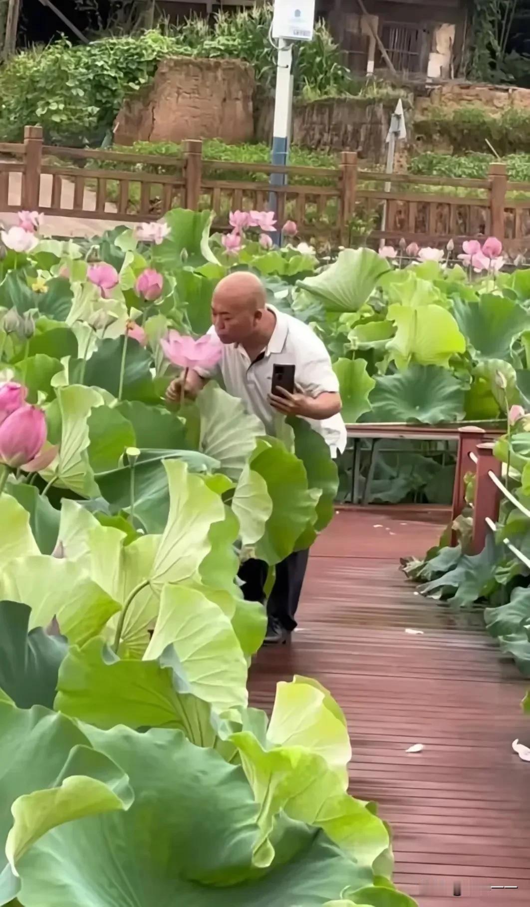 “这一看就是真的爱花人[呲牙笑]”！一大叔看到盛开的荷花，心生喜爱，一激动情不自禁