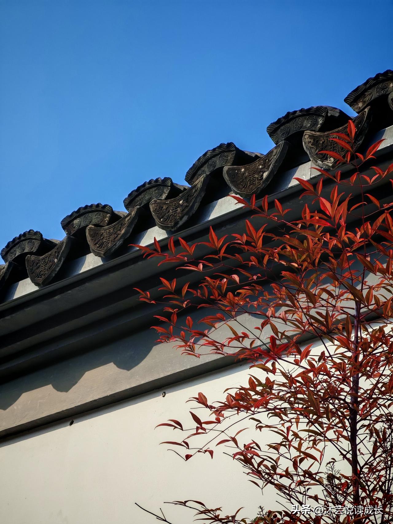 人到退休才懂：赚钱的速度，永远追不上花钱的脚步。本以为熬到退休，能松口气