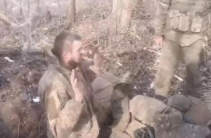 11月11日，沃尔昌斯克的乌克兰守军大批投降，外界对哈尔科夫战局的未来议论不断。