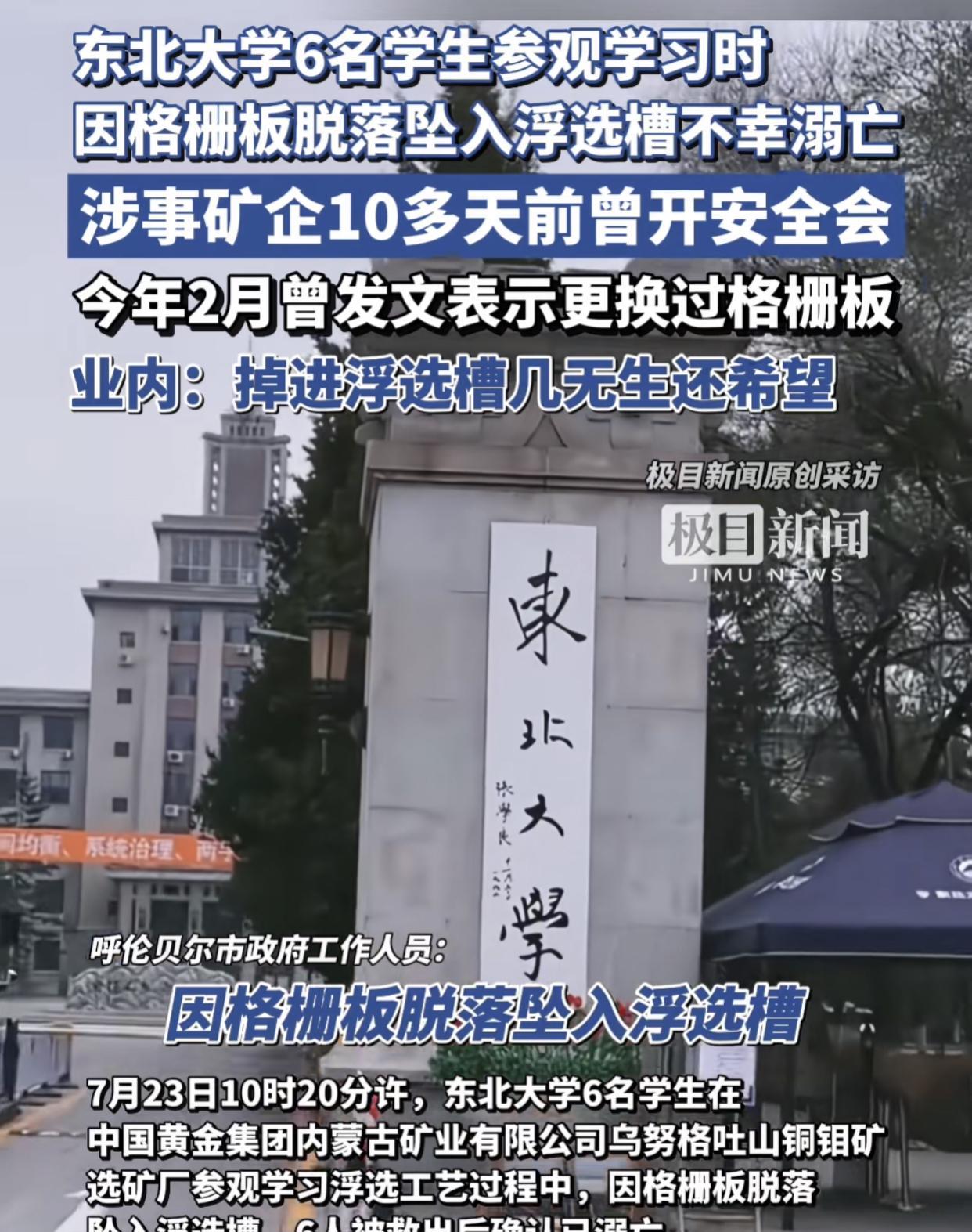 掉入浮选槽的真实感受？看看DeepSeek怎么回答！大家好我叫王建军（化名），
