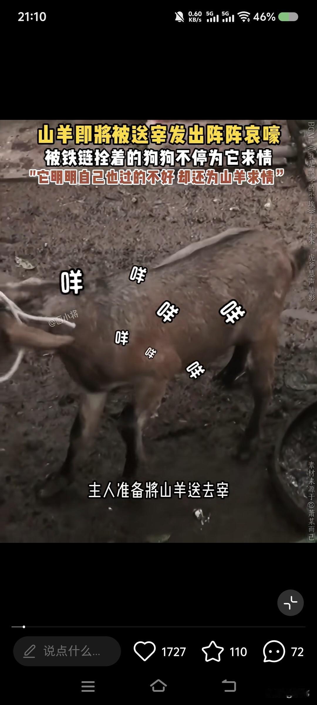 泪目了！一位大哥家养了一只山羊和一只狗狗，平时它们就一起生活，虽然不是一个种族的