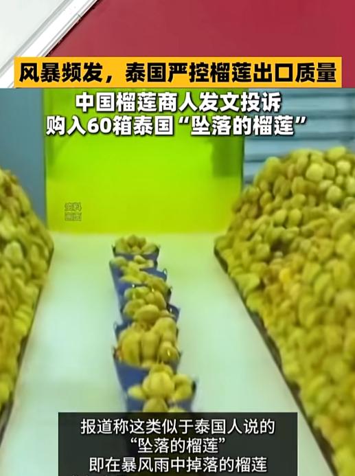 泰国傻眼了，自己引以为傲的"黄金榴莲"，居然在中国栽了个大跟头。一名广州商人花