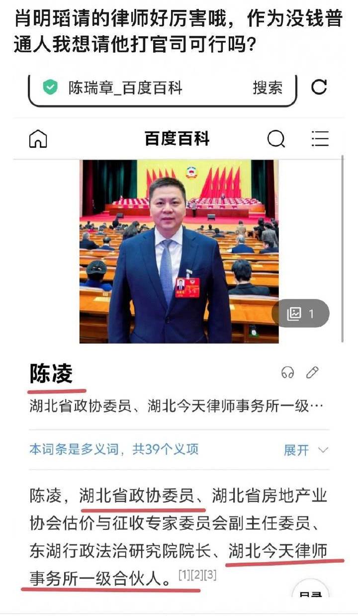 肖同学的妈妈说自己家是普通人，我想问一下，这是普通家庭能请得起请得到的律师吗？这
