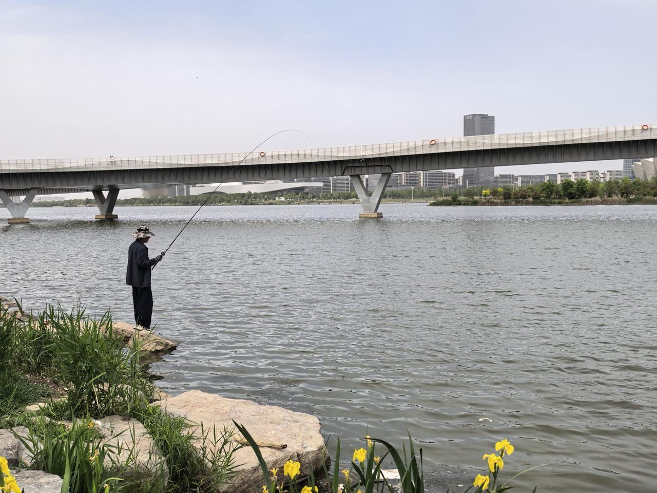 生活不一定非要向前冲，停下来钓钓鱼，风都会把烦恼冲走。但，人生又像钓鱼，你不知道