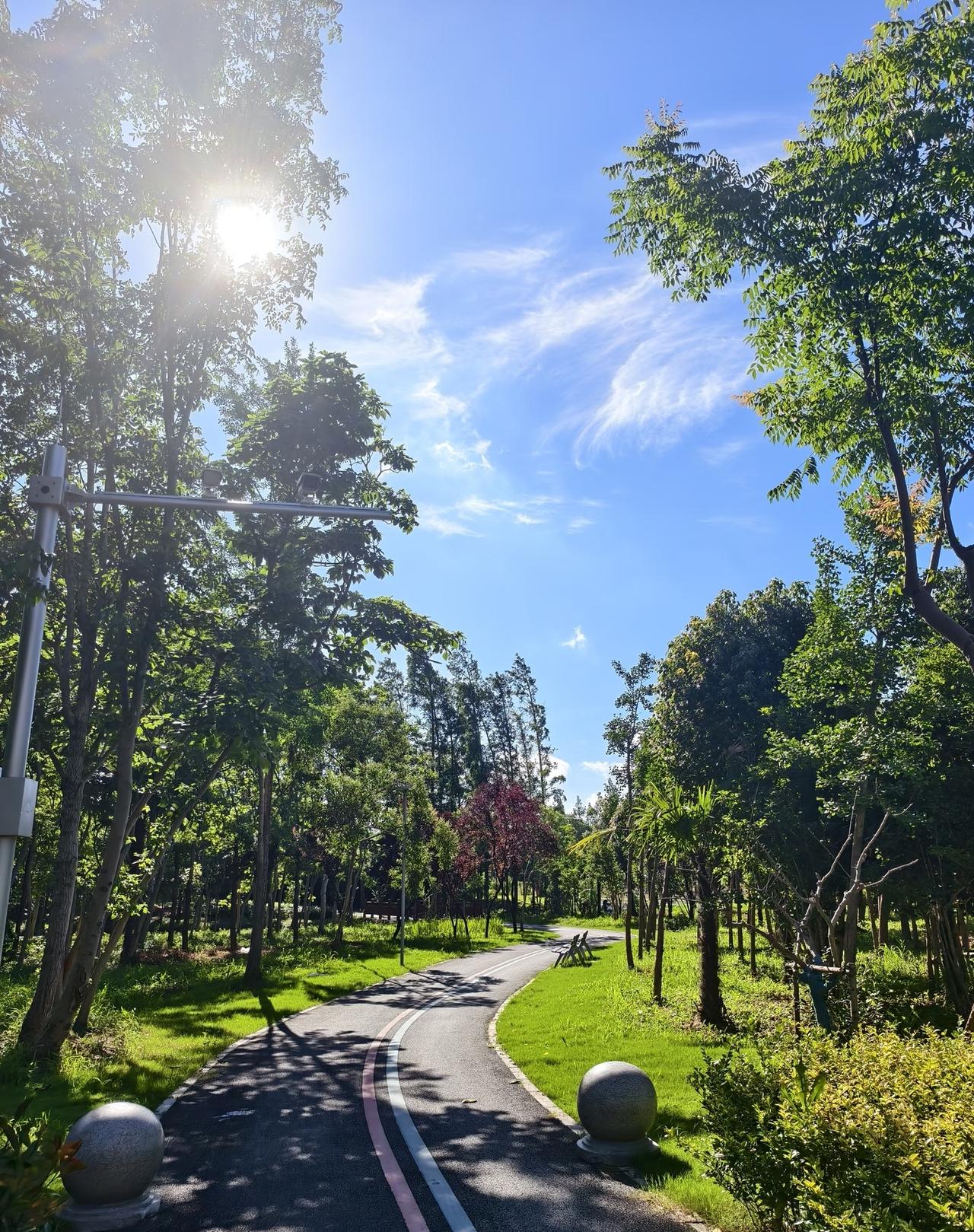 晨跑16年，都是空腹晨跑，不要听一些伪专家的空洞理论。跑步有十几年了，前几天，