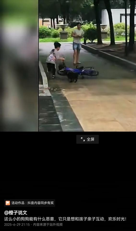 只有狗才认为狗在跟孩子玩。