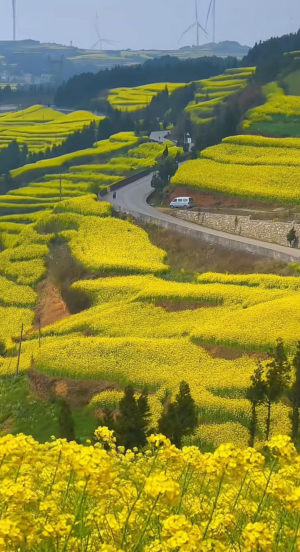 春日生活打卡季春日真是个让人心情愉悦的季节，必须打卡记录这美好时光！周末去了