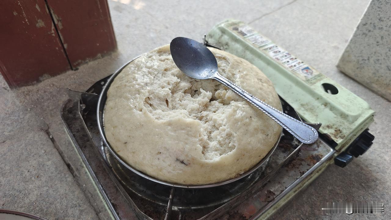 昨天早餐吃了三条四指罗非，晚上又吃了黄脚腊，龙利鱼一点乌头和刀鱼。早上起来压根不