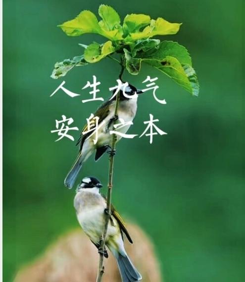 人生有九气：成在大气，败在脾气，雅在财气，病在生气，傲在底气，赢在和气，硬