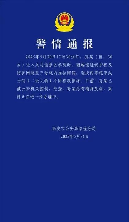 经此事件，兵马俑围栏可能要变成玻璃幕墙了！相关报道如下：男子翻越围栏，跳入三号