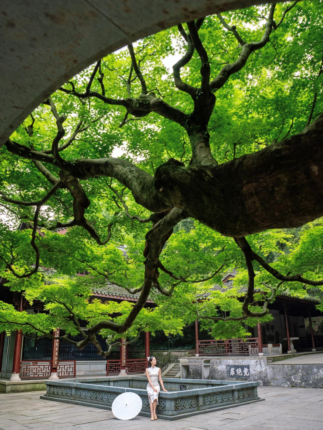 比起雷峰塔 断桥 我更喜欢杭州这9个地方