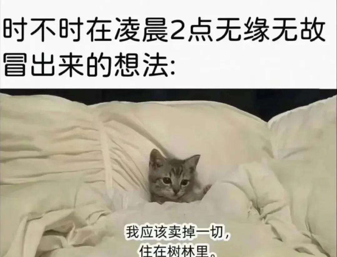 分享一些梗图​​​