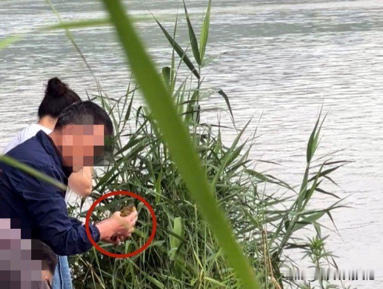 最近成都锦江这事儿，真把人看气了！5月24号中午，天府新区锦江生态带云龙湾，一伙