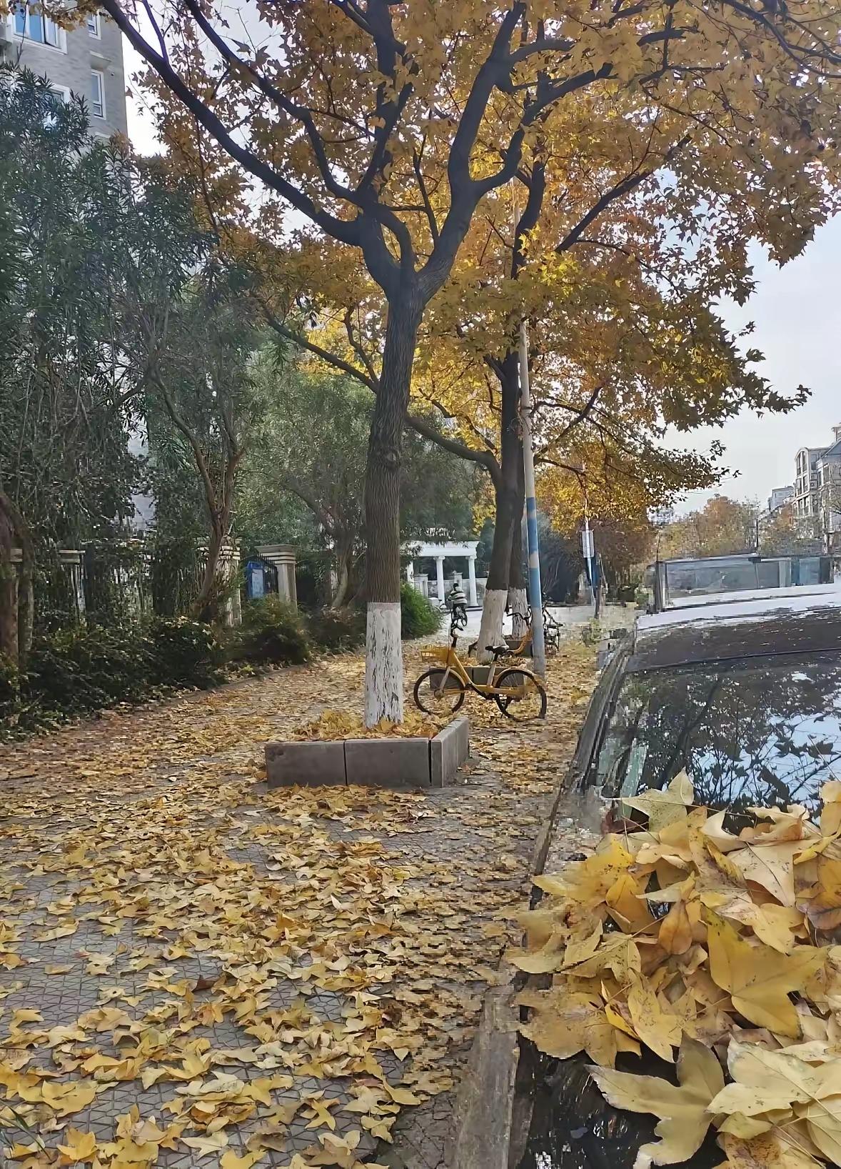 国庆家宴上的尿不湿战争：婆婆的隐忍，是时候结束了国庆节的欢声笑语中，我家对