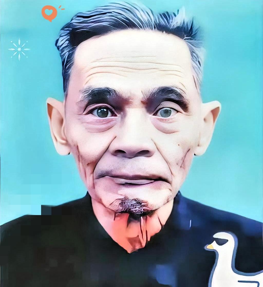 1988年两岸正式开放探亲。一位名叫叶依奎的地下党，混在探亲队伍当中，回到了