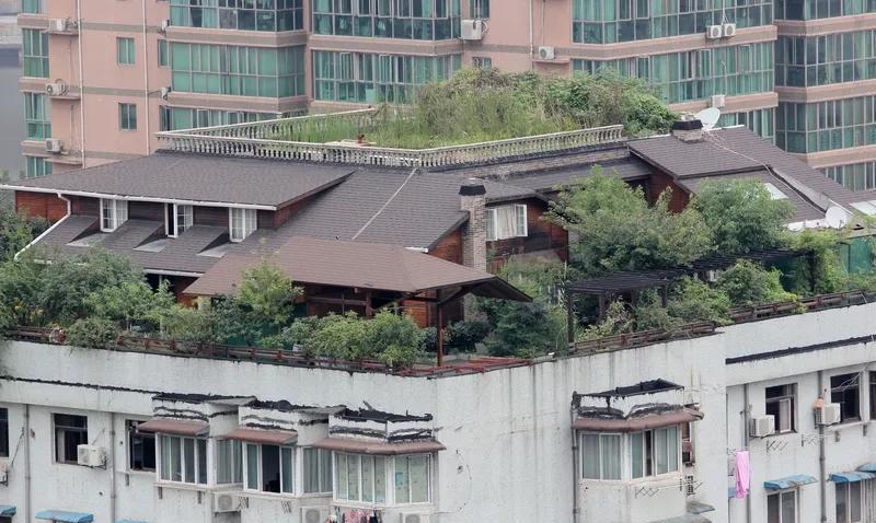 顶层的房子唯一的好处就是视野开阔，安静没人打扰，不容易产生邻里纠纷。但是坏处多于