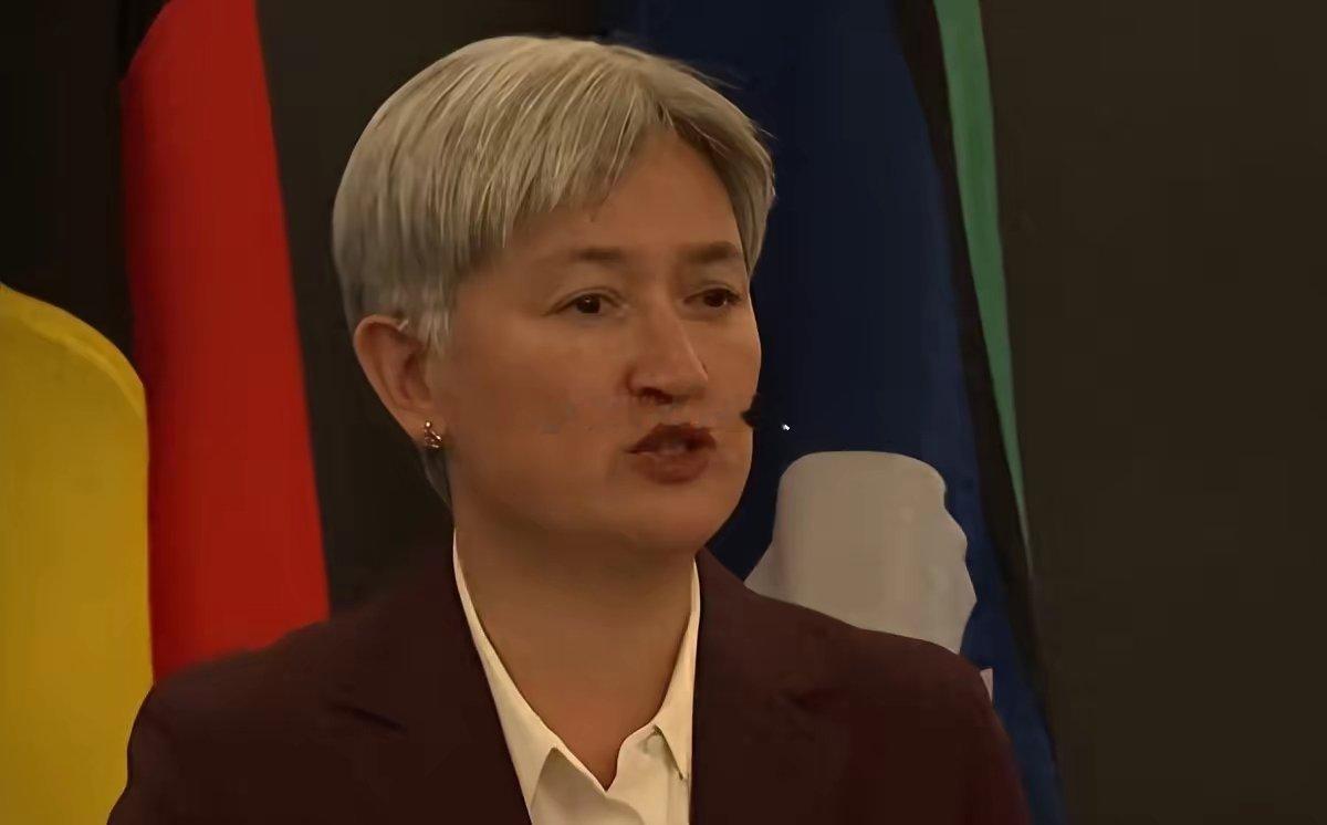 澳外长黄英贤访华谈航空燃油，这事儿背后的门道比表面深多了！4月29日，黄英贤在北
