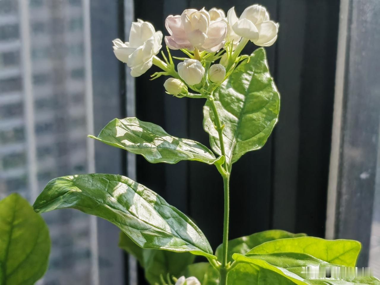 昨晚上11点，闺蜜说睡不觉，找我聊天。反正我也睡不着，聊个地老天荒，不困不睡。