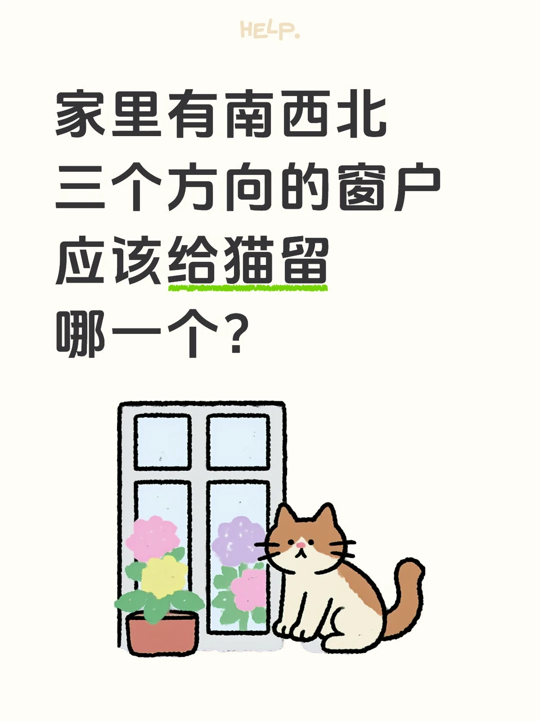 小户型养猫太难取舍了