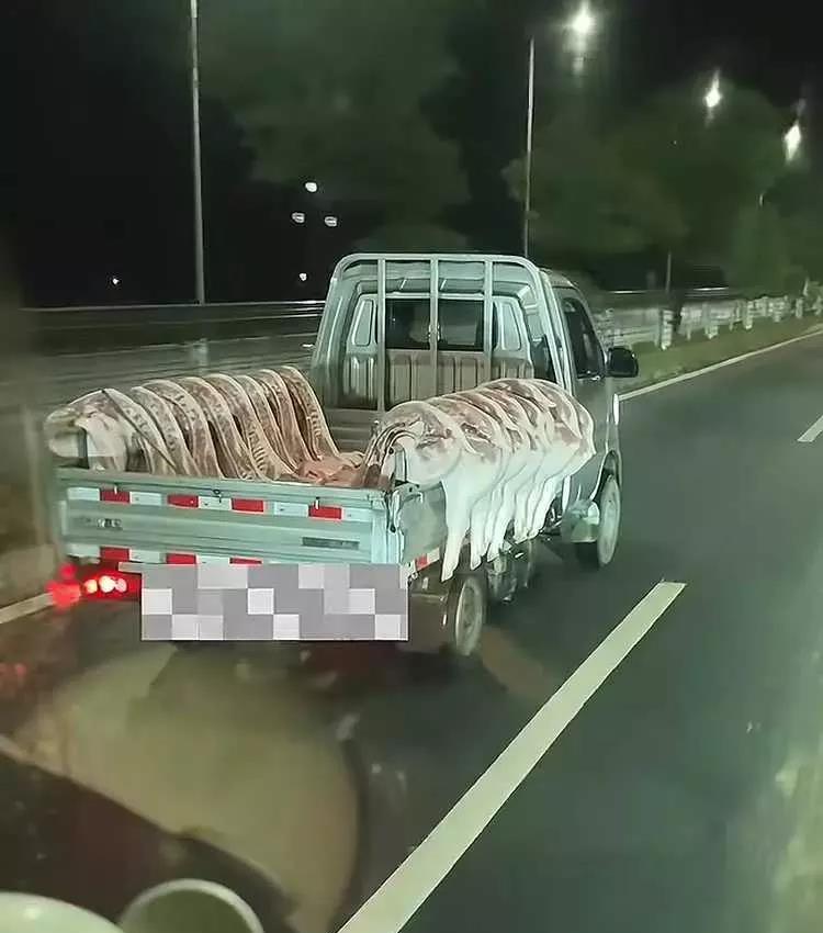 为什么要这样？！