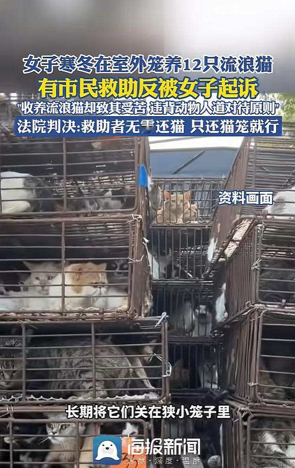 “冤不冤？”近日，北京，一阿姨收养12只流浪猫后，长期放将它们关在笼子里，还放在