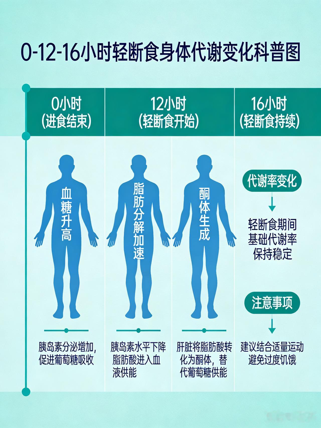 轻断食为什么可以减肥?轻断食不是挨饿，是让身体从“囤脂模式”切换到“燃脂模式”