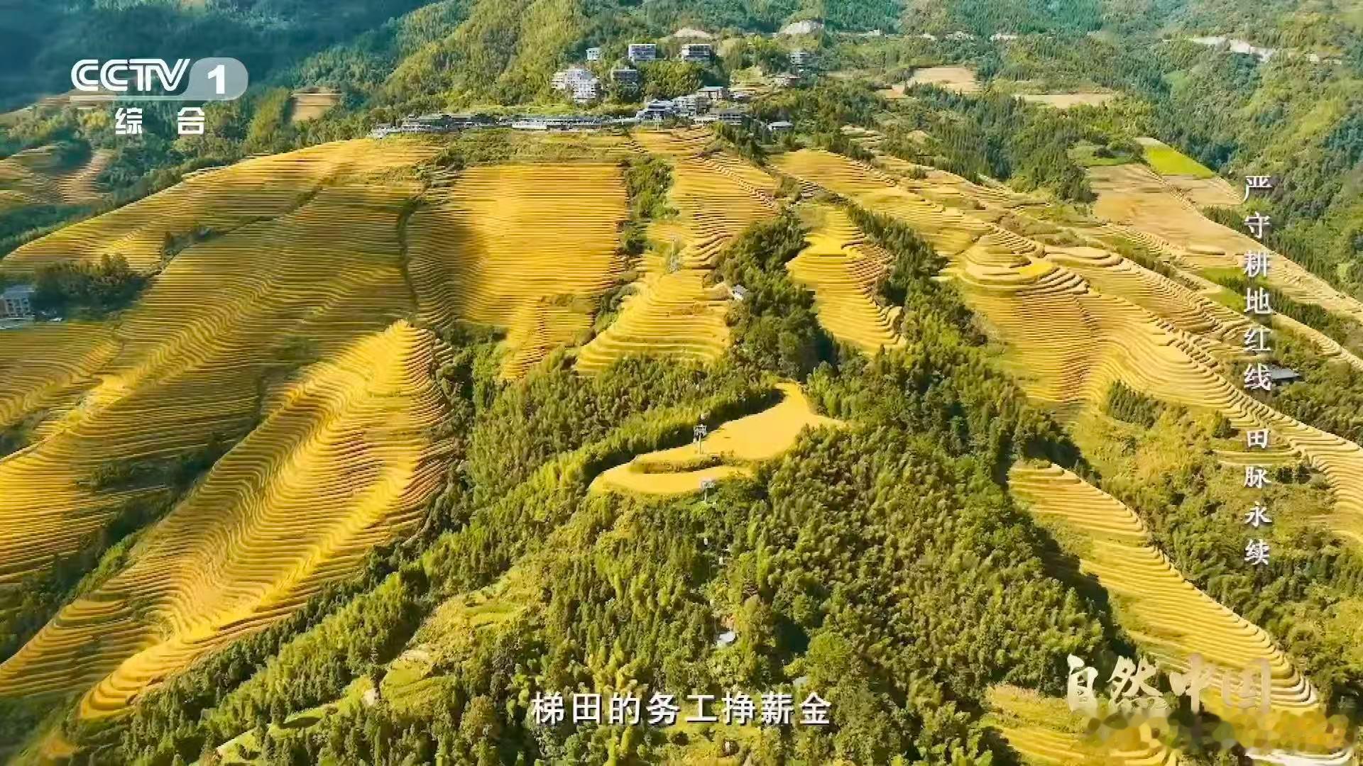中国梯田美成油画世代劳作造就的大地艺术，远山、梯田、云雾相融，像从油画里走出来