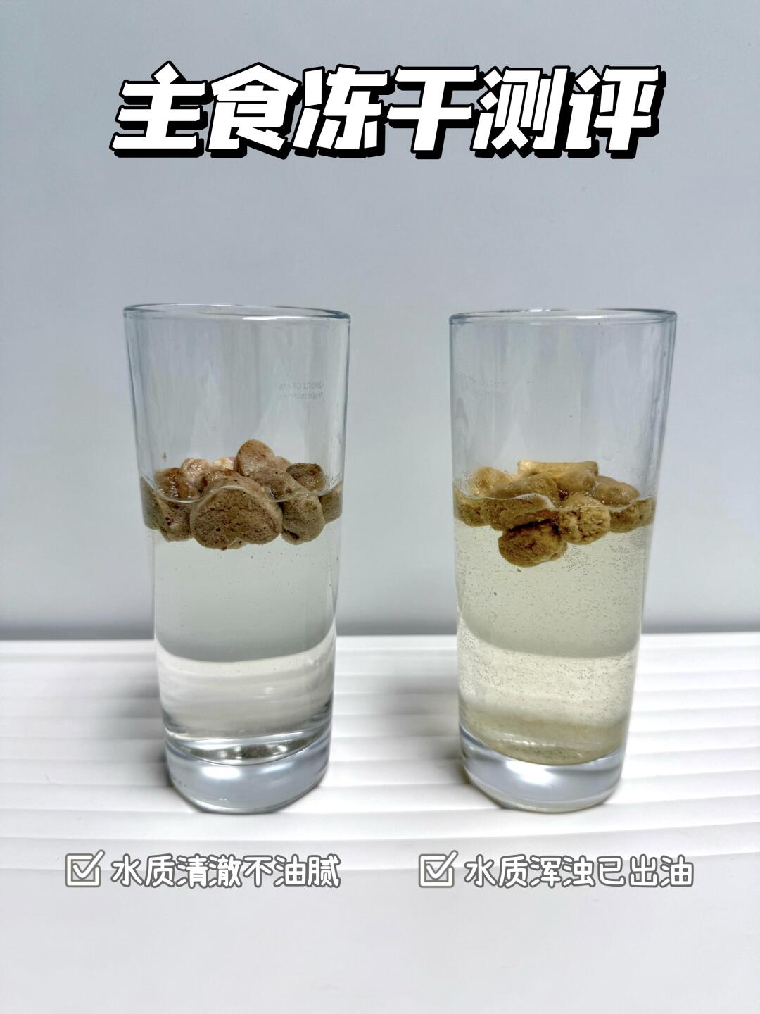 学会这招🙋🏻‍♀️一杯水轻松选出猫咪好冻干！