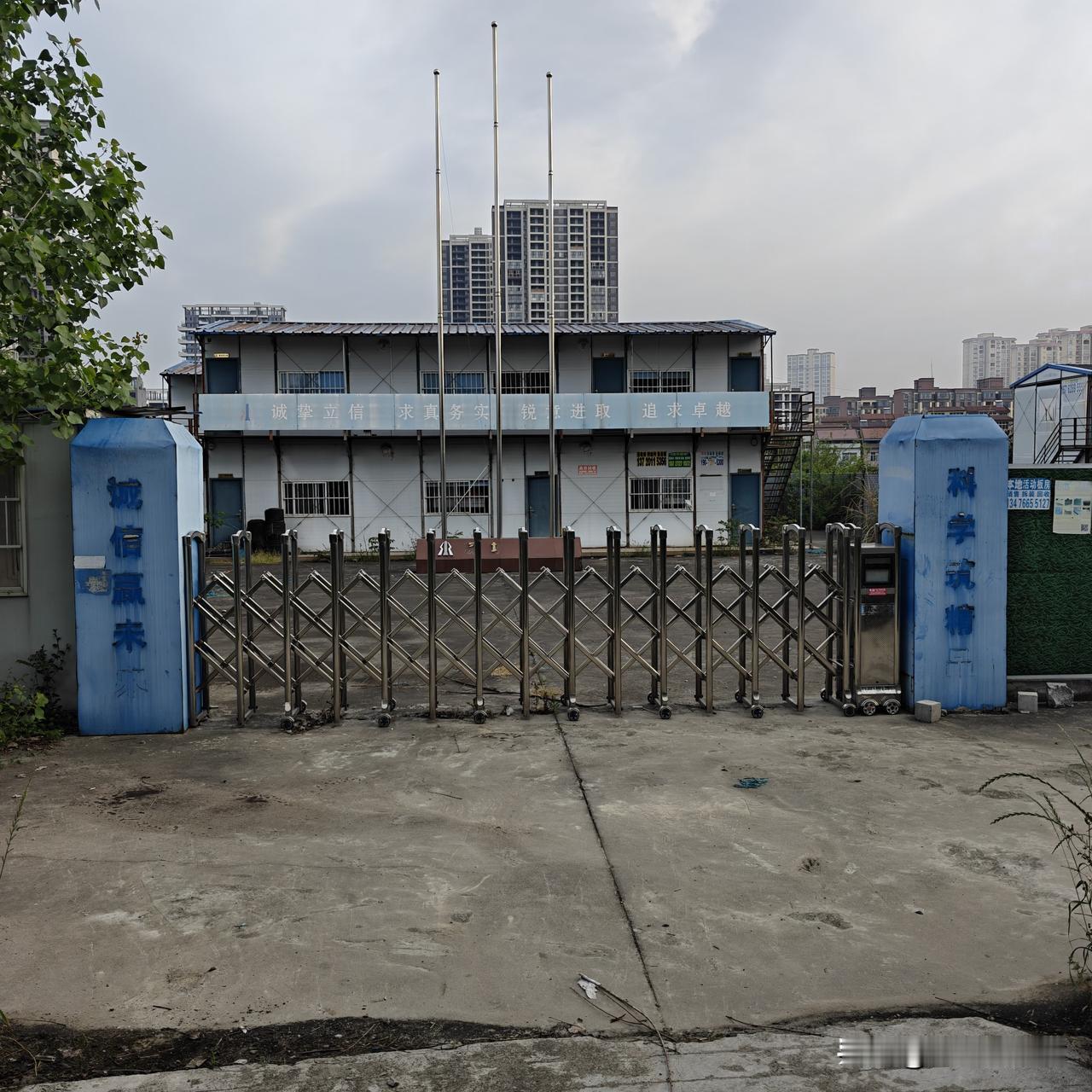 被打跑的流浪猫，新住处找到了。险些把我当成了小偷。几只原本一直待在劳动局家属院