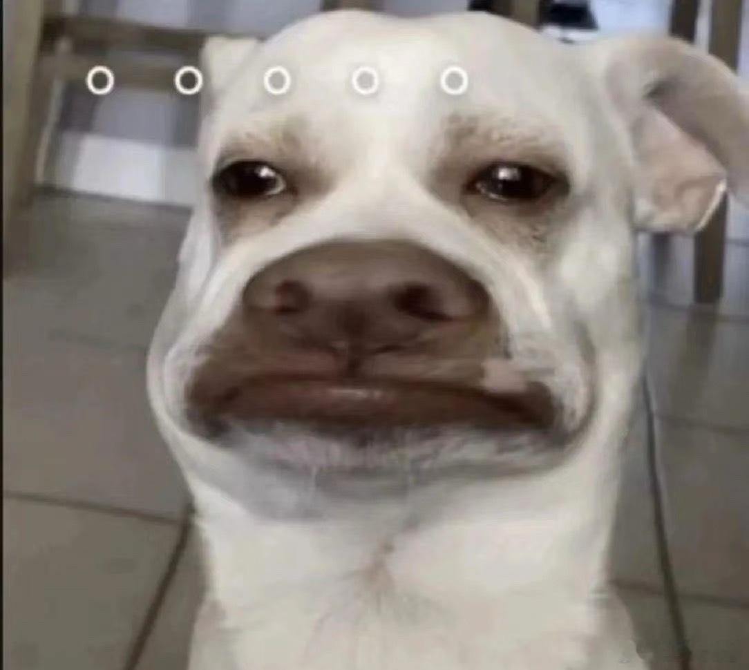 最近记性真的不太行,在客厅坐着感觉jio冷,想着去卧室拿一双毛毛袜穿。走到卧室完