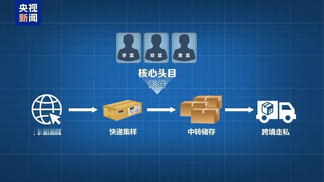 广州海关最近干了个大案子，打掉两个专门走私孕妇血样出境的团伙。这玩意儿听着有点瘆