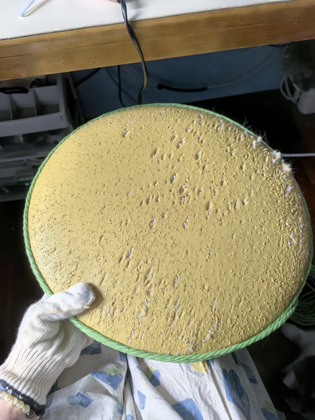 养猫的人都懂