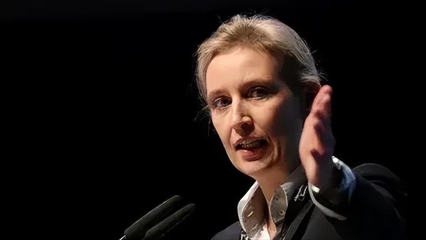 德国选择党主席爱丽丝·魏德尔要求乌克兰赔偿“北溪”爆炸造成的损失最近德国政坛炸