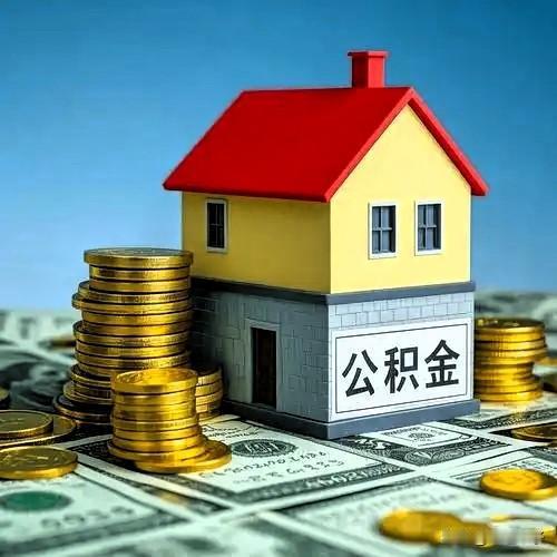 我很懒，退休多年公积金到现在还没有提出来！我55岁退休，已经十余年，昨天