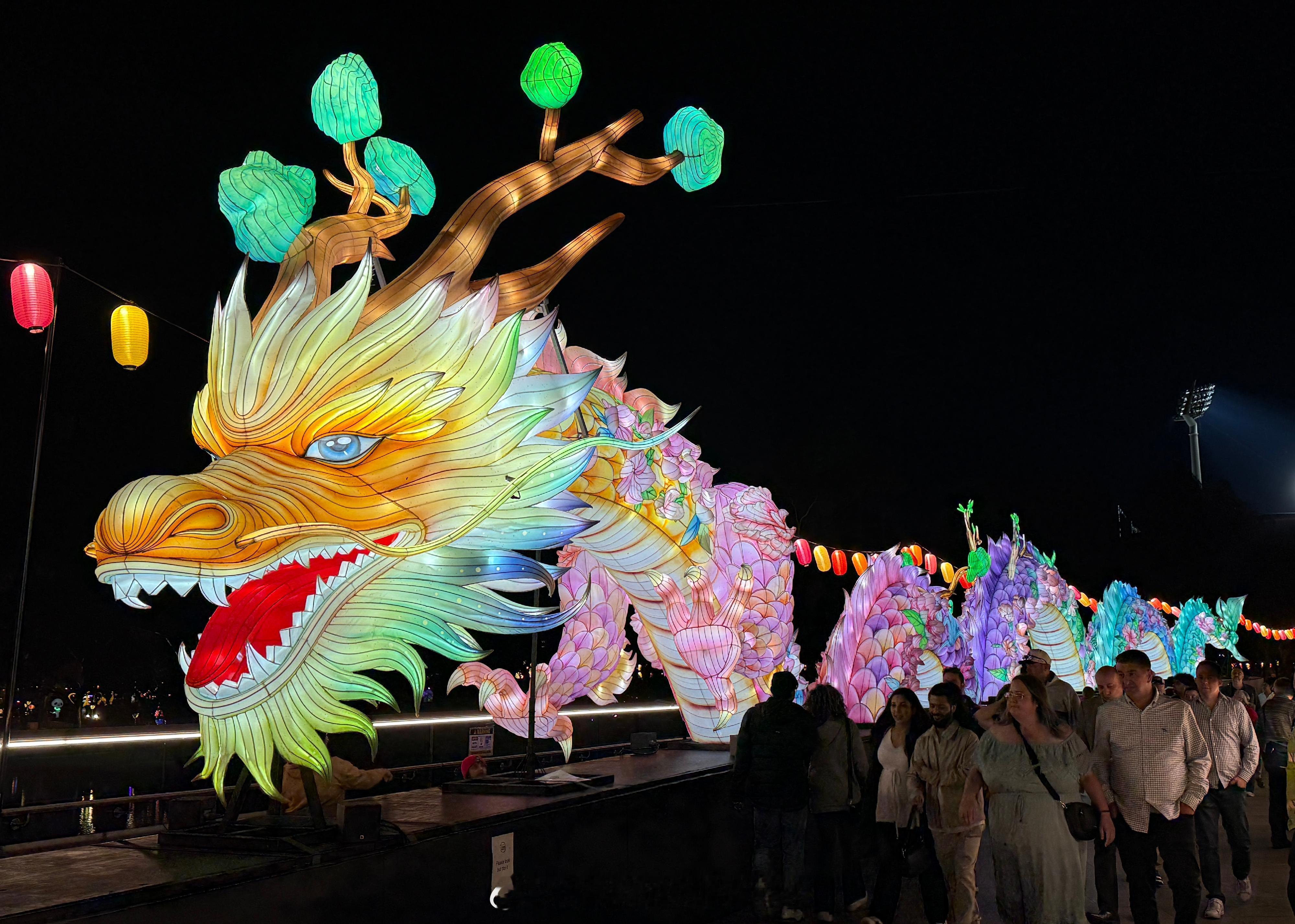 「香港飛龍綵燈閃耀澳洲（澳大利亚）阿德莱德澳亞藝術節..」一條長達40米的