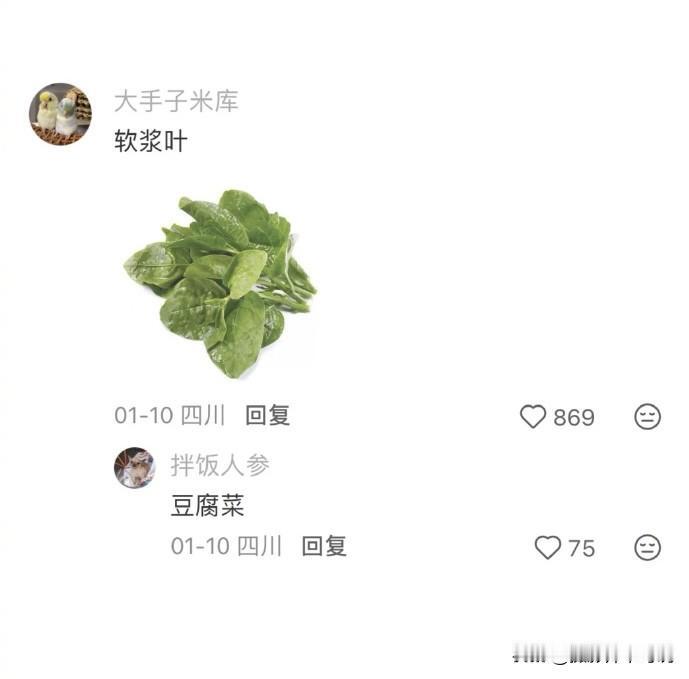 四川公认最难吃的菜来了，很多网友都纷纷发表了自己的意见，该消息也快速冲上了热搜。