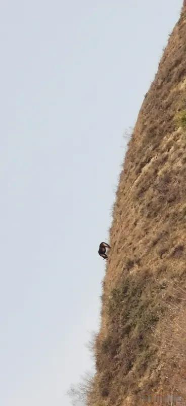 湖南新化消防员刚灭完火返程，村民说那山路又陡又窄、全是急弯，当天路面还湿滑。消防