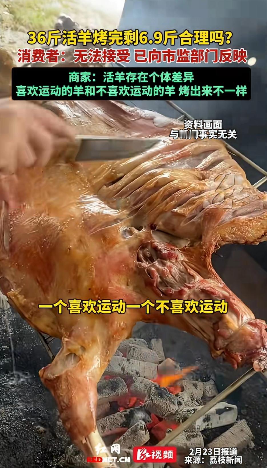 36斤活羊烤完剩6.9斤合理吗？老板娘给出的解释：有的羊喜欢运动，有的羊不喜欢