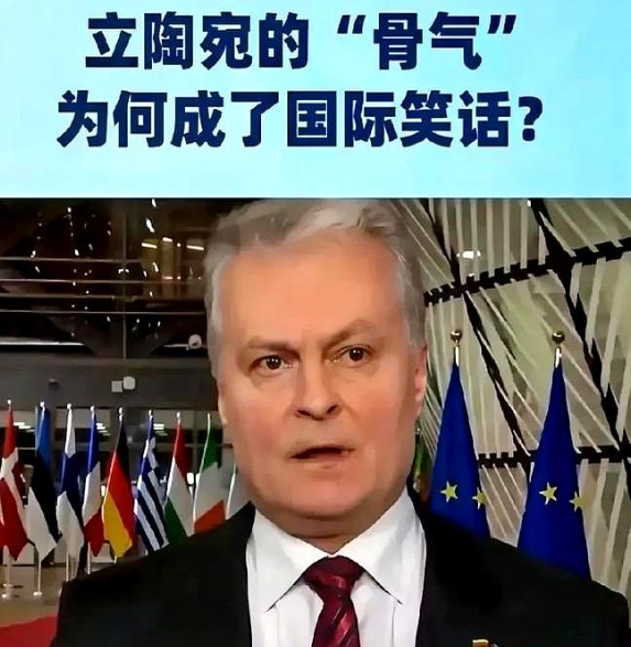 立陶宛这次可真是有苦说不出！3月2号，英国搞了个大动作，召开了关于乌克兰危机和欧