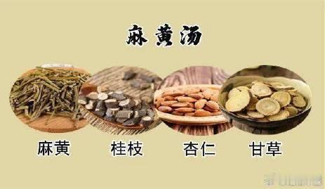 ”麻黄汤”，为什么不是风寒感冒第一方？在中医方剂学中，风寒感冒，辛温解表第一个方