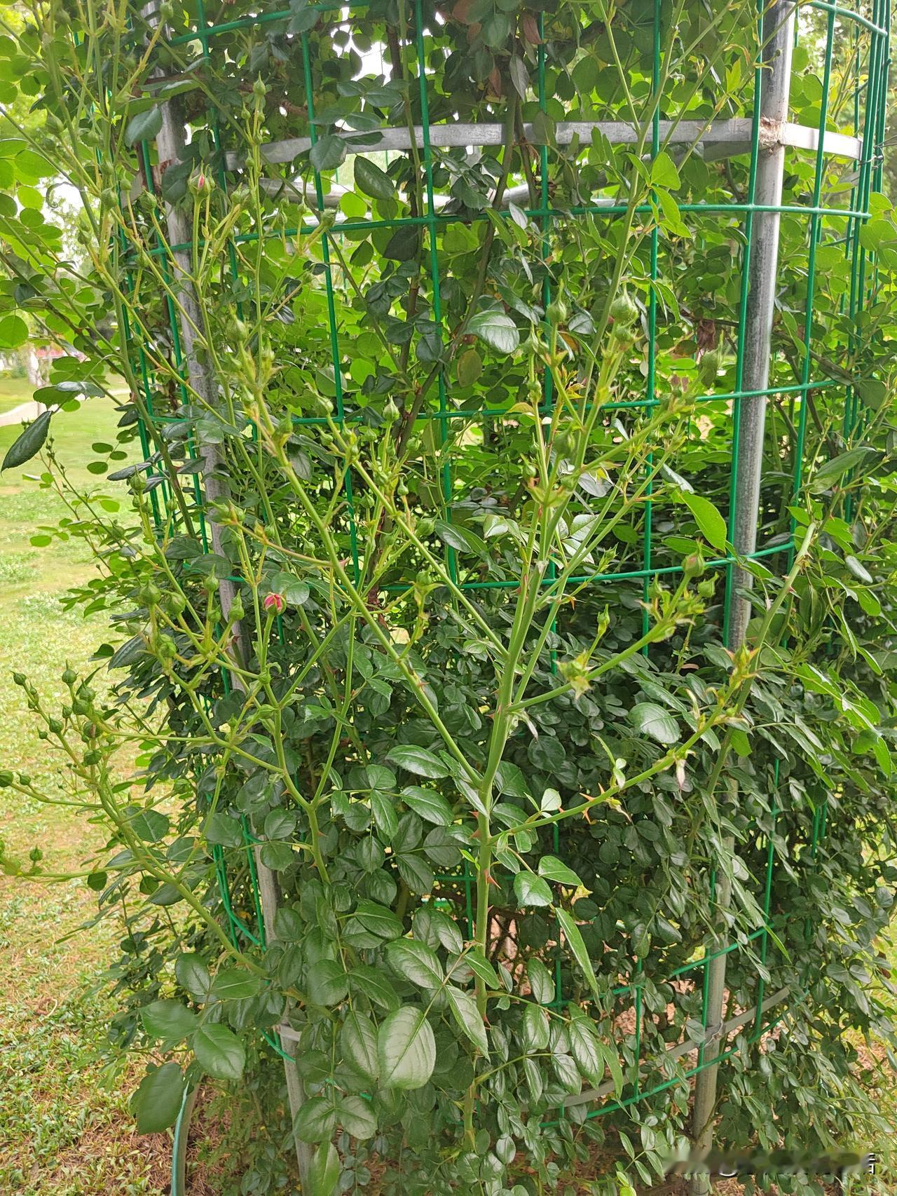 退休后，一般的人都会遇到一个问题，退休金没有想象的高！退休金是1000的，其实