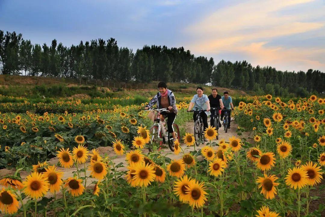 【安阳村游真得劲儿】巍巍太行山送来峡谷溪流，石板岩镇成了写生摄影爱好者的天堂；悠