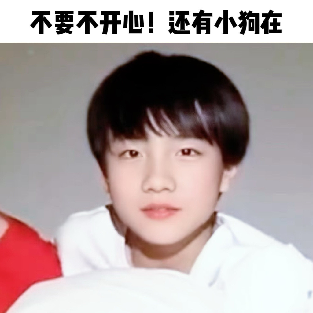 【4663】人，不要不开心！还有小狗在🥺苏新皓