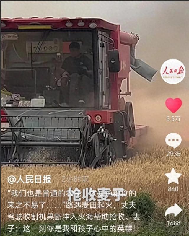 山东曹县，开收割机救麦子的小伙，最好的回报来了，不是被夸奖，不是被当地人感谢，而