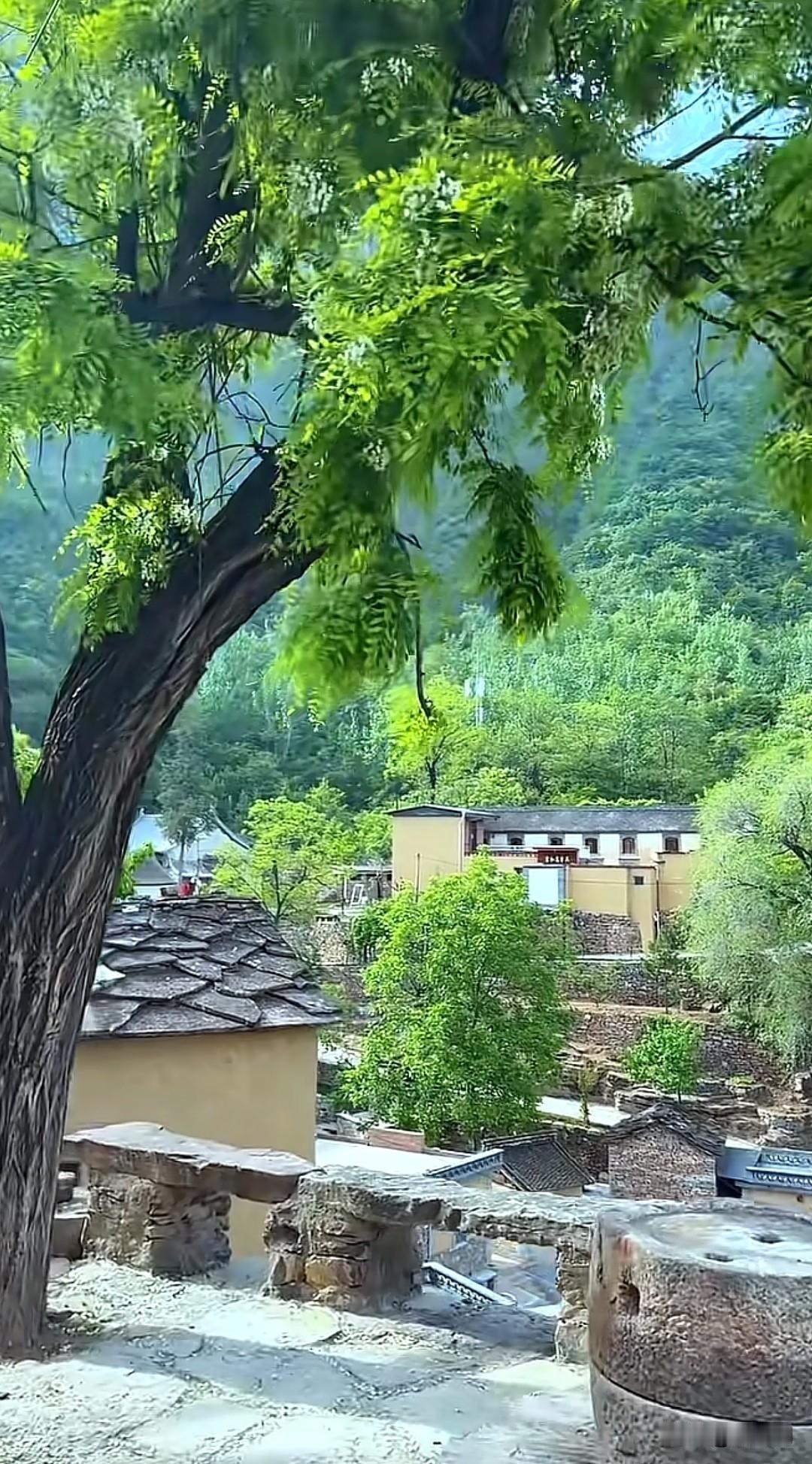 七律·春日闲居门对青溪水绕村，檐垂嫩柳燕归痕。风牵竹影穿书案，日暖花香入
