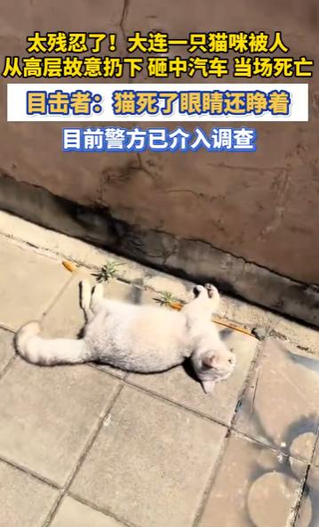太残忍了！5月24日，辽宁大连一个小区内，发生了一件让无数网友看完心里难受的事。