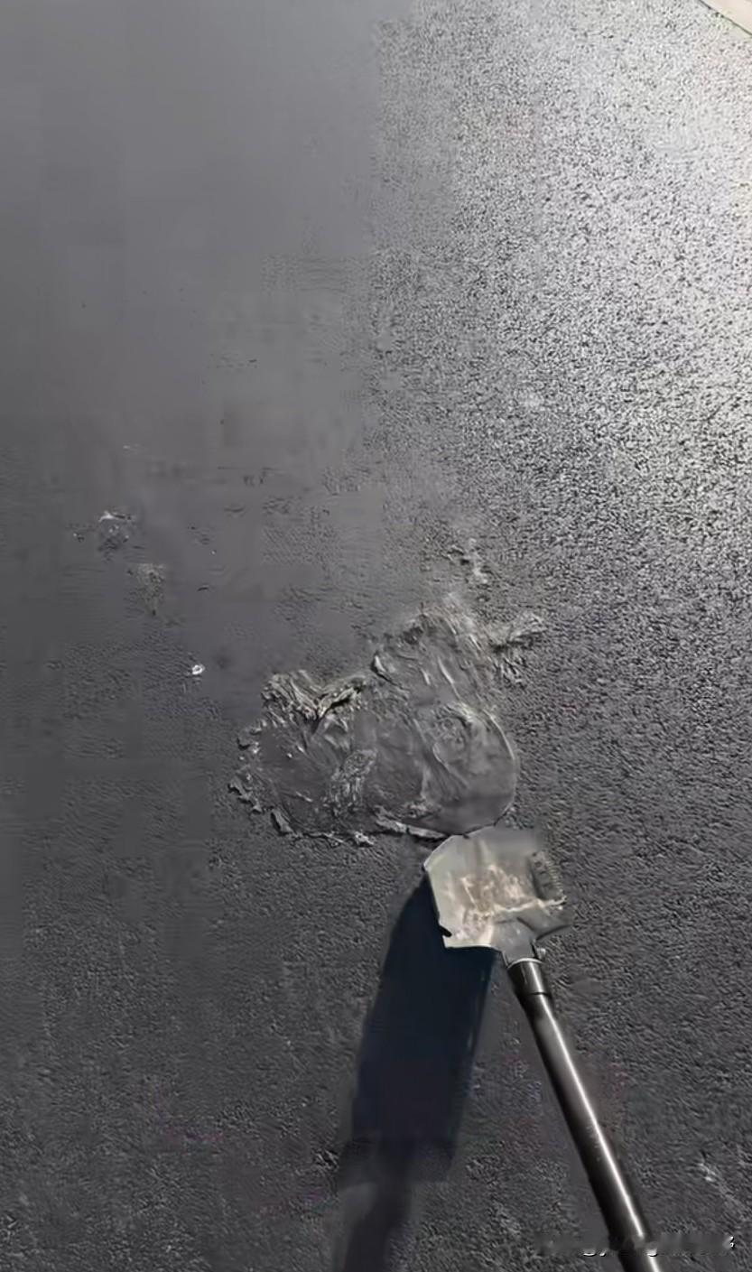 对爱猫人士来说，图中的画面也是比较残忍的了。有人发现，有猫在马路上被车辆碾压丧命