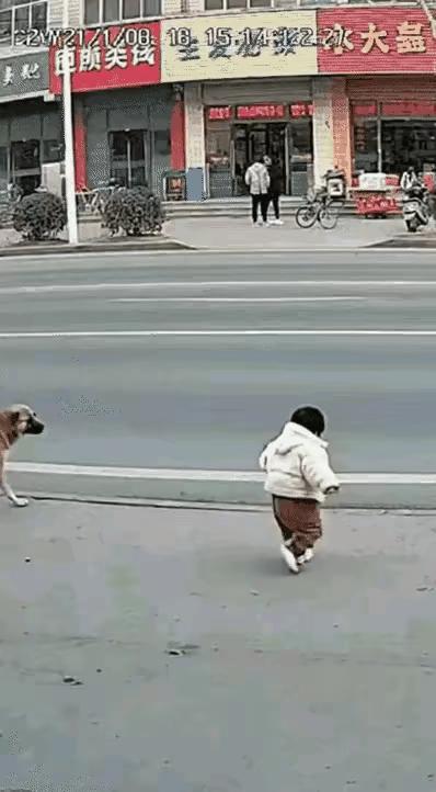 吃狗肉的都应该好好看看。如果这个小朋友是你家的……作何感想。